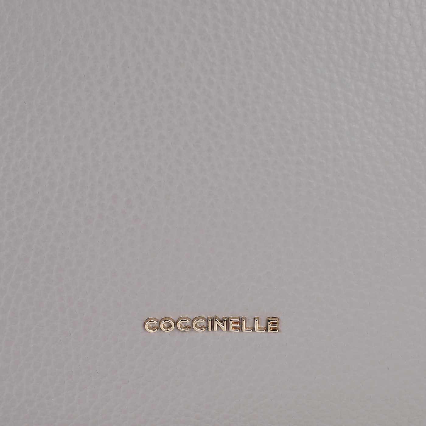 Кожаный рюкзак Coccinelle CoccinelleGleen
