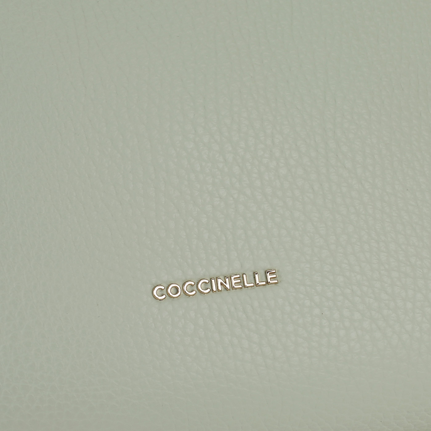 Кожаный рюкзак Coccinelle CoccinelleGleen